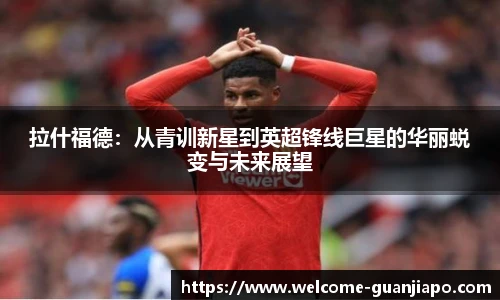 管家婆官网资料